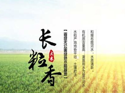· 嘉禾米业 ·